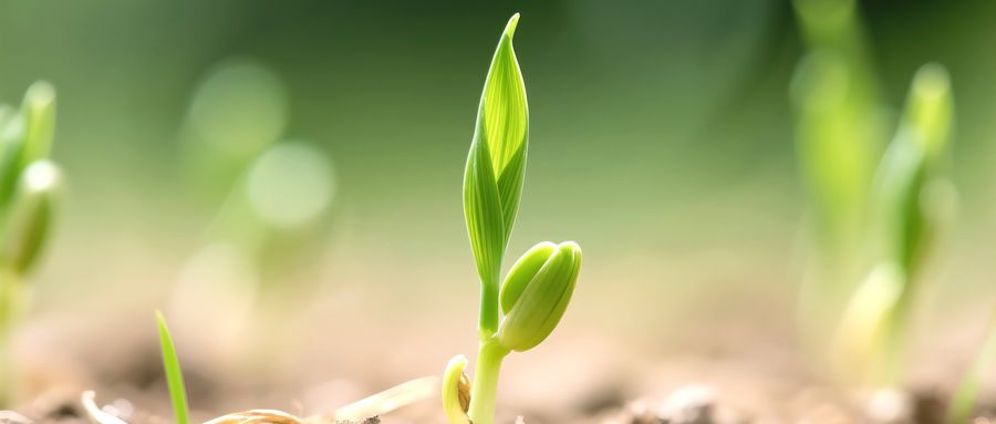 育儿补贴刚到位奶粉就要涨价？多家乳企辟谣称并未涨价